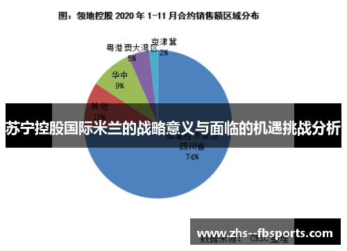 苏宁控股国际米兰的战略意义与面临的机遇挑战分析