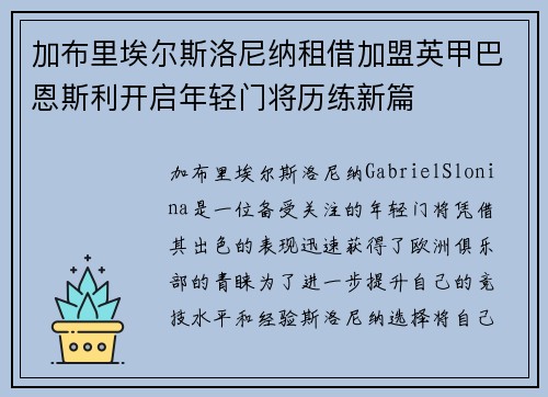 加布里埃尔斯洛尼纳租借加盟英甲巴恩斯利开启年轻门将历练新篇